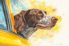 Dog riding with head out car window. (AI Generated) Art Print